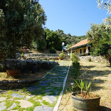 Elpida Country House -Paleochora-Anidri 外观 照片
